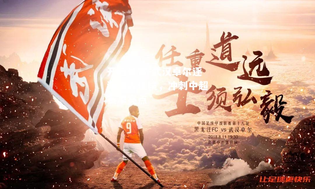武汉卓尔逐渐步入佳境，冲刺中超赛季亮点